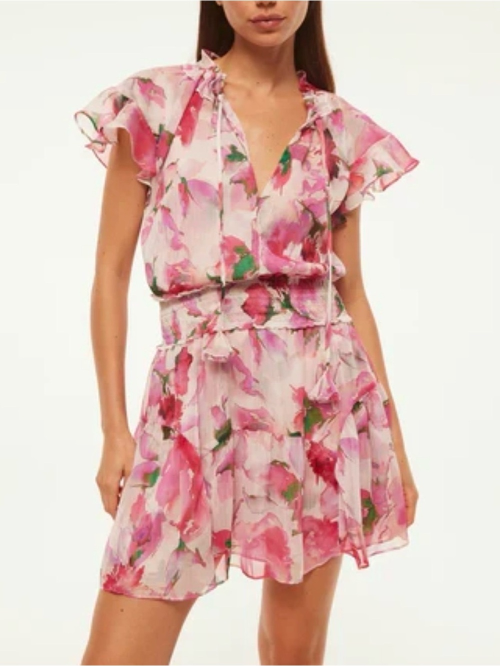 Misa Los Angeles Floral Pink & Red Mini Dress